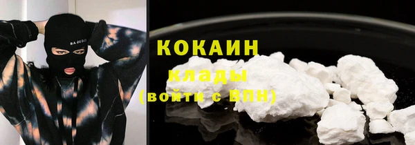 стаф Абаза