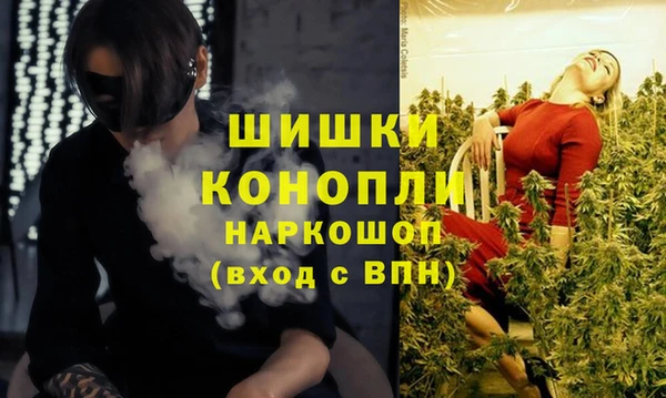 стаф Абаза